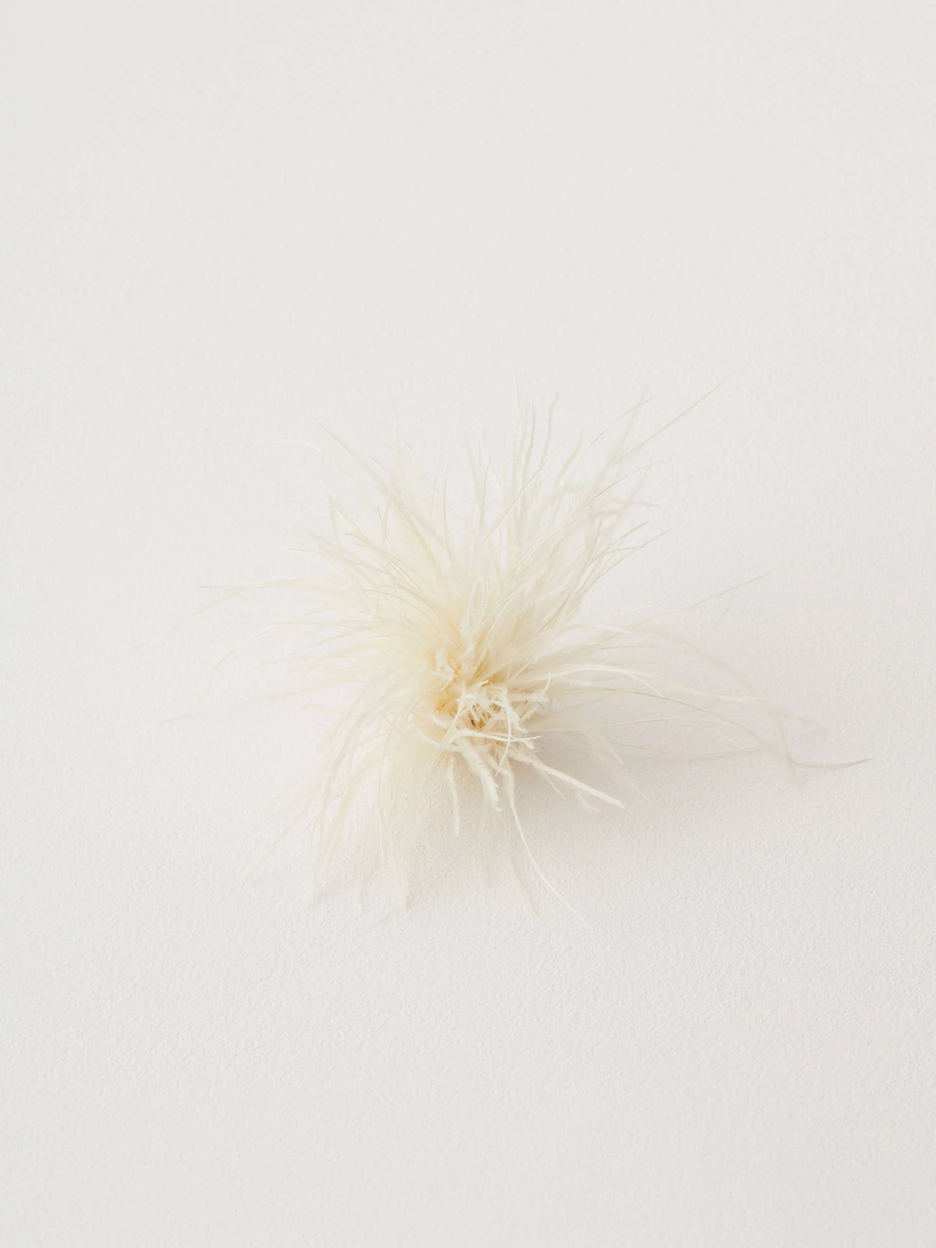 Cream brooch with feathers