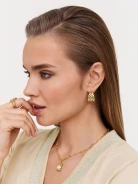 Elegant earrings