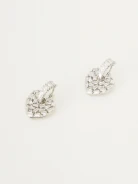 Heart-shaped earrings