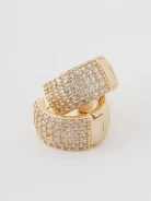 Elegant earrings with sparkling crystals