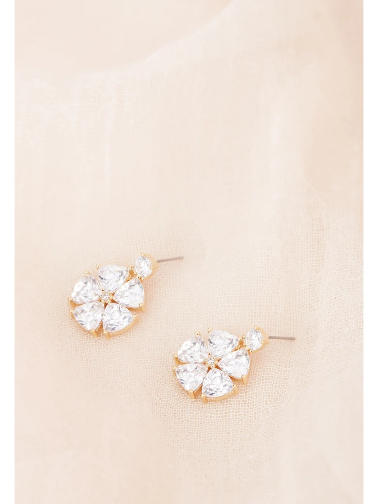 DELICATE EARRINGS WITH CRYSTALS