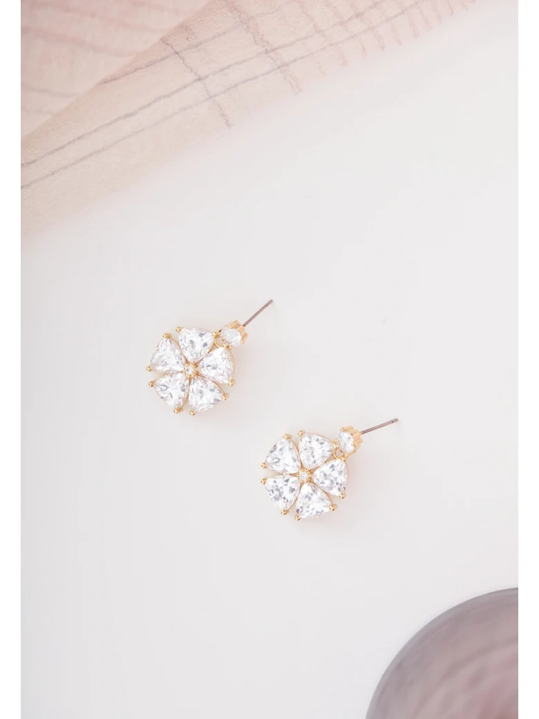 DELICATE EARRINGS WITH CRYSTALS