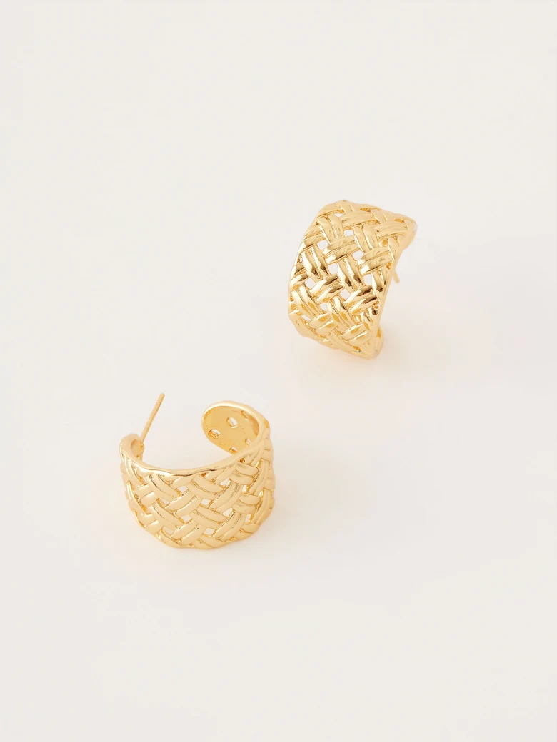 Elegant earrings