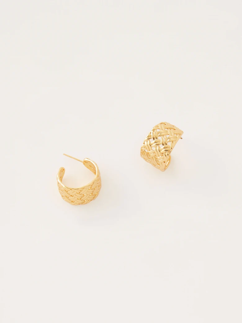 Elegant earrings