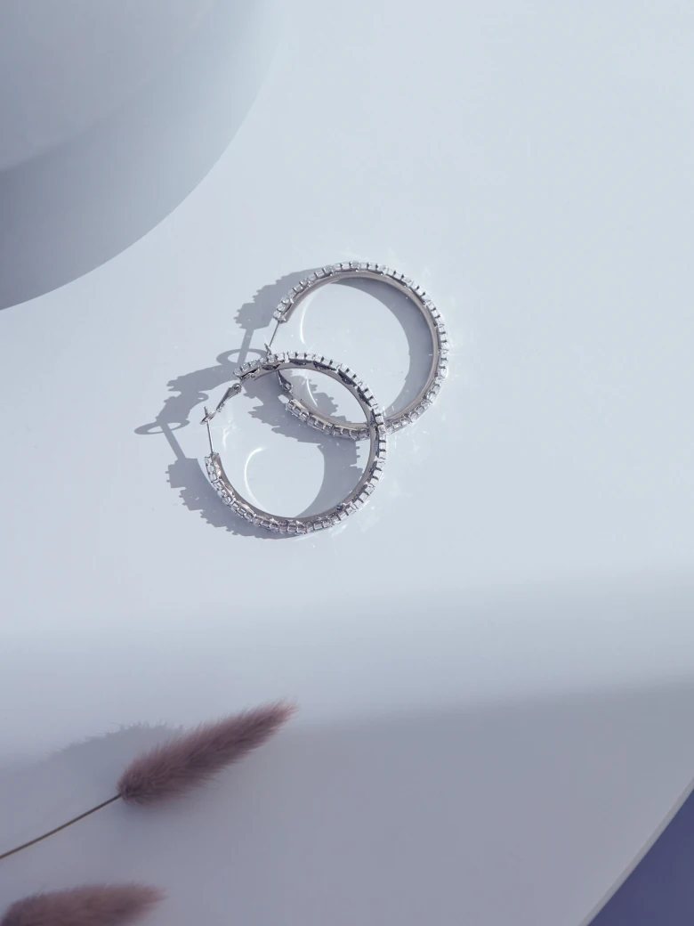 LARGE CIRCLE EARRINGS