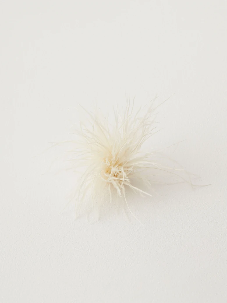 Cream brooch with feathers