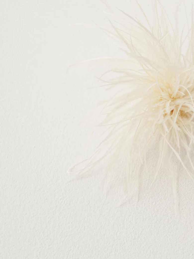 Cream brooch with feathers